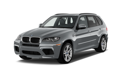 X5 E70 2007-2013 (6)